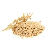 oat-kernel